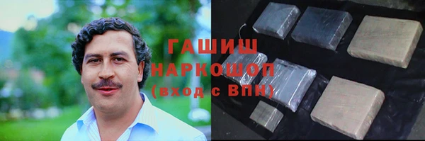 гашик Алексин