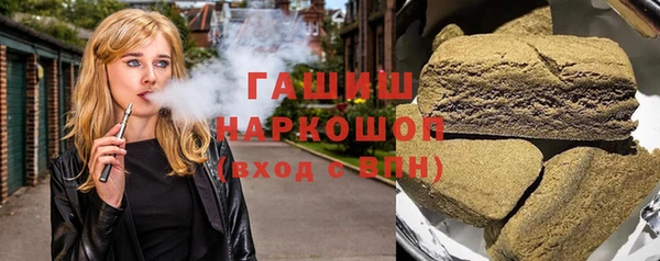 гашик Алексин