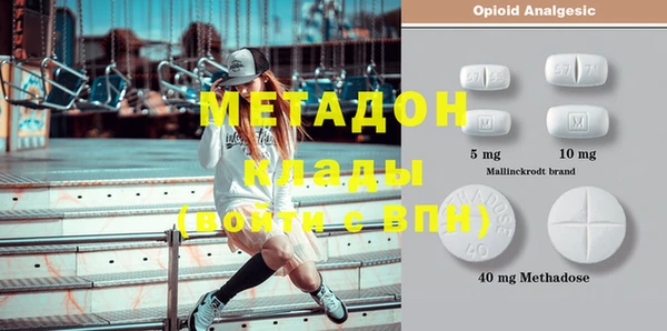 гашик Алексин