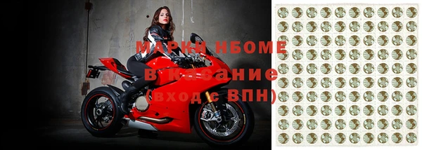 гашик Алексин