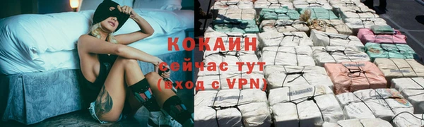 гашик Алексин
